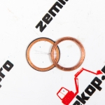 000.050147 Шайба DANA