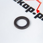 111656 Шайба DANA