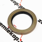 209587 Сальник DANA