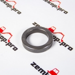 2109701 Шайба DANA