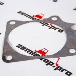 218739CH Прокладка DANA