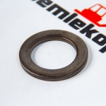 222179 Шайба DANA