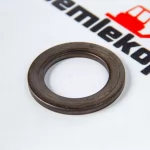 222179 Шайба DANA