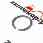 248760 Кольцо DANA