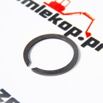 248762 Кольцо DANA