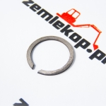 248763 Кольцо DANA