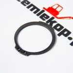 250740 Кольцо DANA