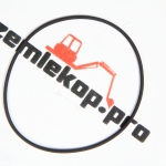 0634313219 О-кольцо ZF