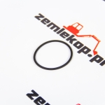 0634313269 О-кольцо ZF