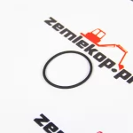 0634313269 О-кольцо ZF