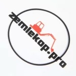 0634313972 О-кольцо ZF