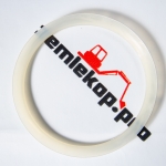 720.25.010.02 Сальник DANA