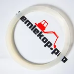 720.25.010.02 Сальник DANA