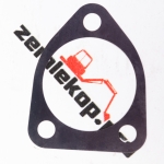 730.06.080.02 Прокладка DANA