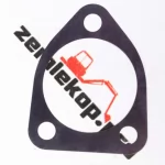 730.06.080.02 Прокладка DANA