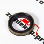 000.051846.B Сальник DANA 146668