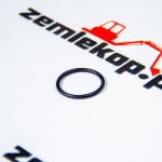 25K30102 О-кольцо DANA