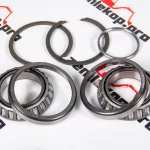 4210883 Подшипник DANA