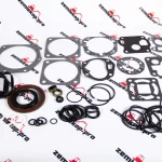 801776 Набор уплотнений DANA