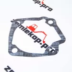 241573 Прокладка DANA