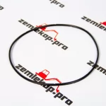 123.07.021.01 О-кольцо DANA