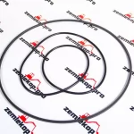 2116061 Уплотнение DANA