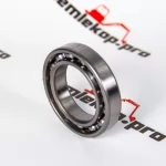 241818N Подшипник DANA 