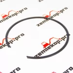 243636 Стопорное кольцо DANA