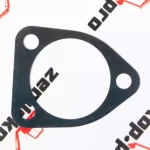 730.06.080.01 Прокладка DANA