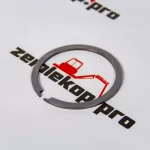 246840 Стопорное кольцо DANA