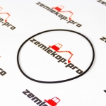 112.07.024.01 О-кольцо DANA