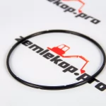 113.07.021.01 Кольцо DANA