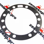 125574 Прокладка DANA