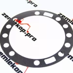 125575 Прокладка DANA
