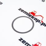 013.01.4813 Прокладка DANA