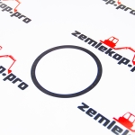 013.01.4818 Шайба DANA