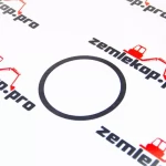 013.01.4818 Шайба DANA