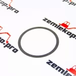 013.01.4819 Шайба DANA