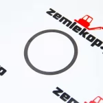 013.01.4812 Прокладка DANA