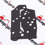 248464 Прокладка DANA