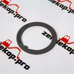 246837 Шайба DANA