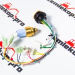 4212257 Датчик DANA