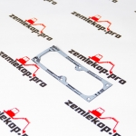 4205790 Прокладка DANA