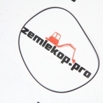 0634313784 О-Кольцо ZF