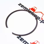 223982 Кольцо DANA