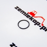 8100397 Кольцо DANA 250217