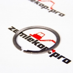 246841 Шайба DANA