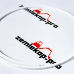 243496 Кольцо DANA