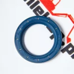 725.01.031.01 Сальник DANA