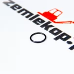 60K20020 О-кольцо DANA